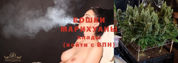 PSILOCYBIN Верхний Тагил
