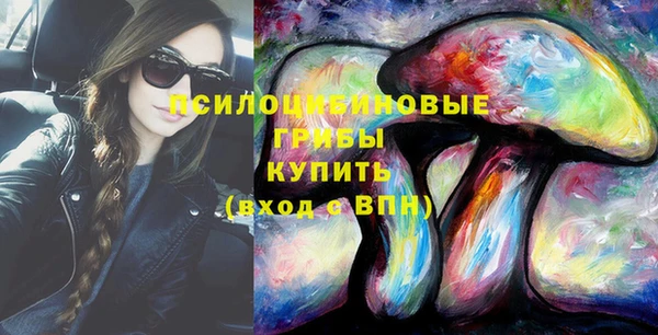 PSILOCYBIN Верхний Тагил