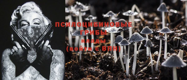 PSILOCYBIN Верхний Тагил