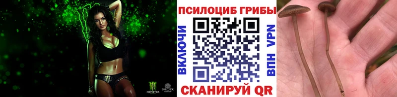 Купить закладки  Беслан  Псилоцибиновые грибы Magic Shrooms 